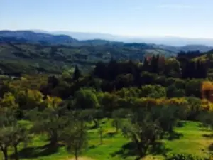 Trattoria I Ricchi