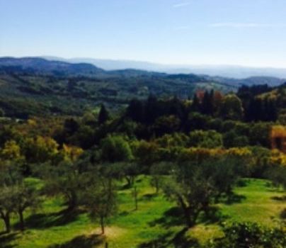 Trattoria I Ricchi