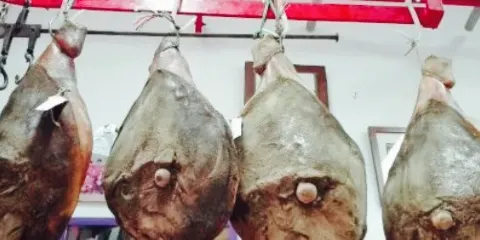 Macelleria Sarchielli Pietro