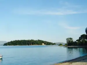 The Pinewood