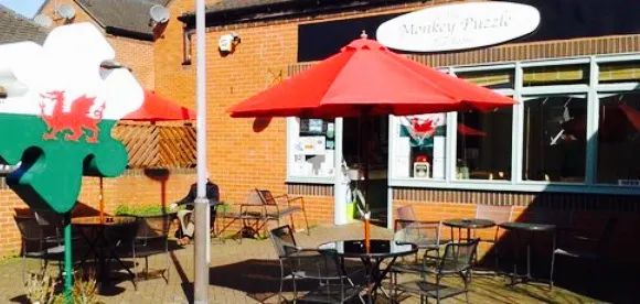 The Monkey Puzzle Tearoom