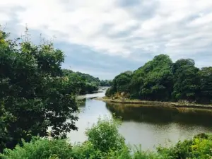 The Teifi Netpool Inn Restaurant