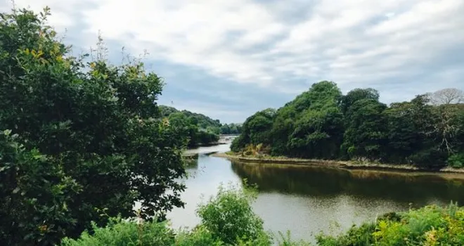 The Teifi Netpool Inn