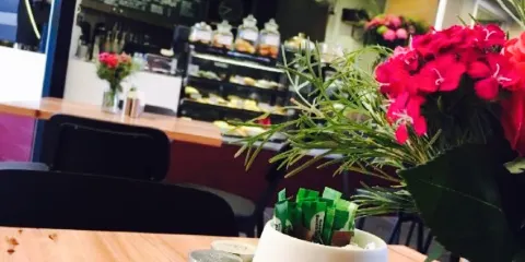 Black Bird Coffee House