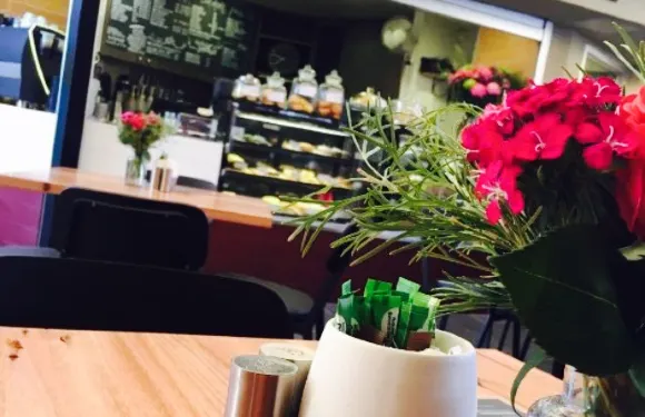 Black Bird Coffee House