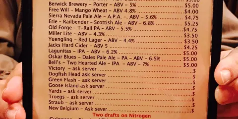 Smiling Chameleon Draft House