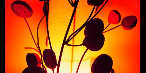 The Jetty Restaurant & Bar