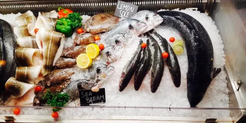 Alfred's Bar & Grill