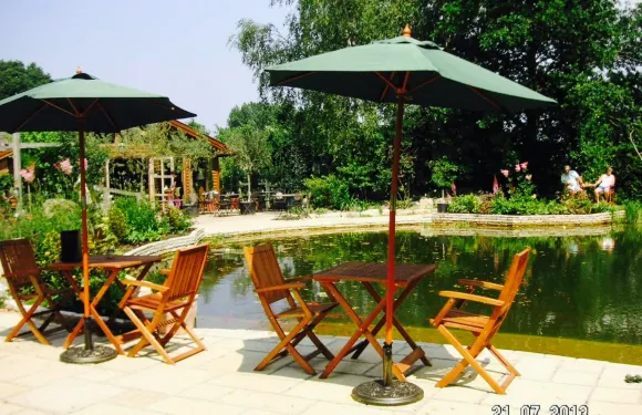 The Orchard Tea Rooms