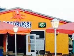 Octobussi