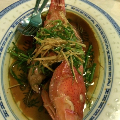 Chinese Garden Restaurant User Photo