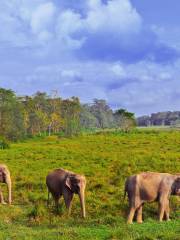 Parque Nacional de Chitwan