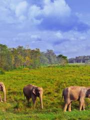 Parco nazionale di Chitwan