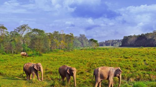 Chitwan National Park