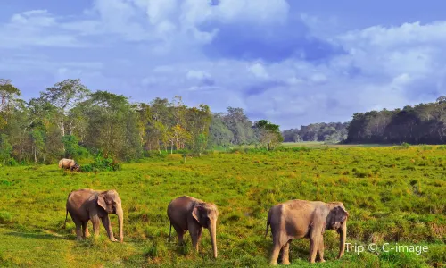 Chitwan-Nationalpark