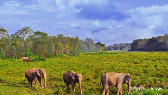 Chitwan National Park