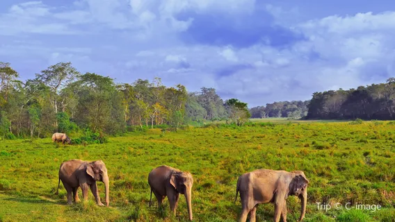 Chitwan National Park