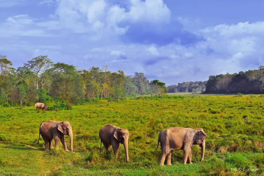 Chitwan-Nationalpark