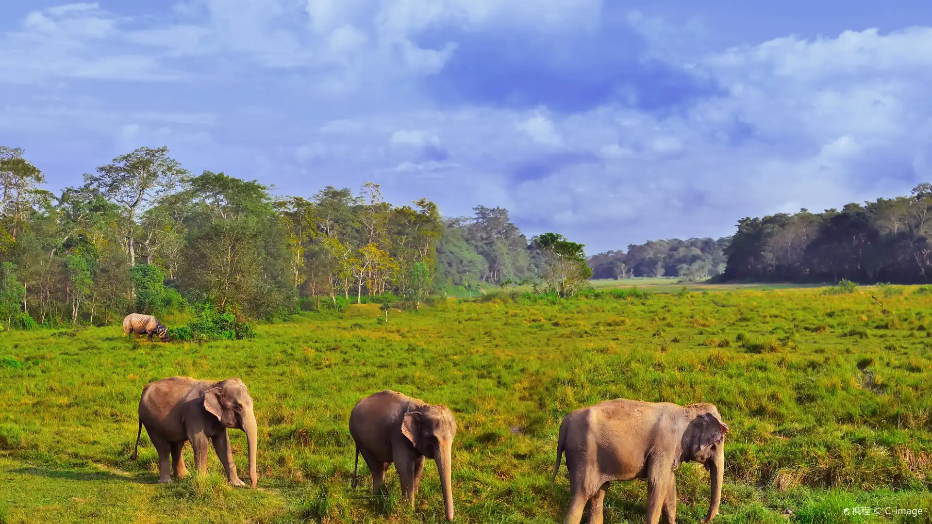 Hotels near Chitwan National Park