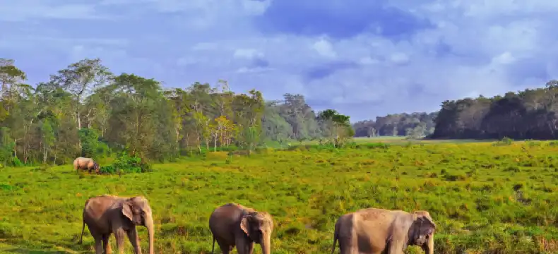 チトワンのホテル