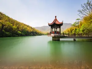 宜興竹海