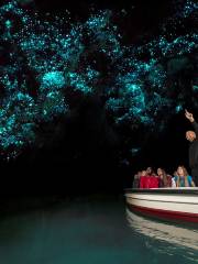 Waitomo Glowworm Caves