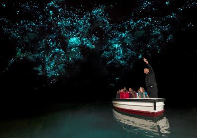 Waitomo Glowworm Caves