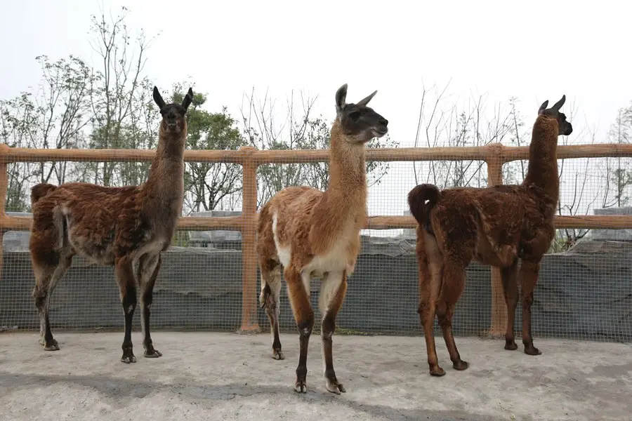 Taizhou Bay Wildlife Park