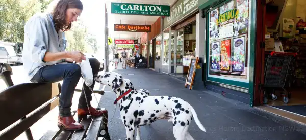 Hotels in Glebe