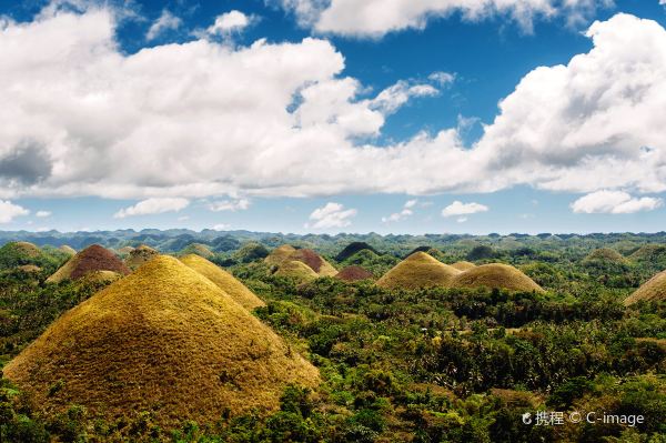 Chocolate Hills