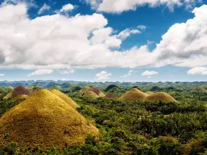 Chocolate Hills