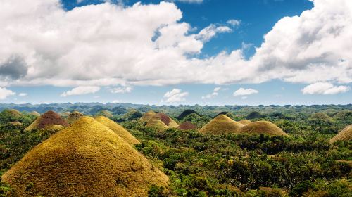 Chocolate Hills