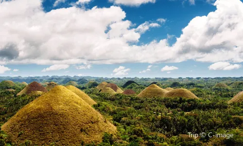 Chocolate Hills