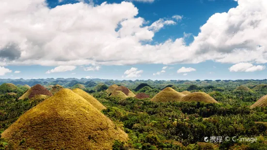 Chocolate Hills