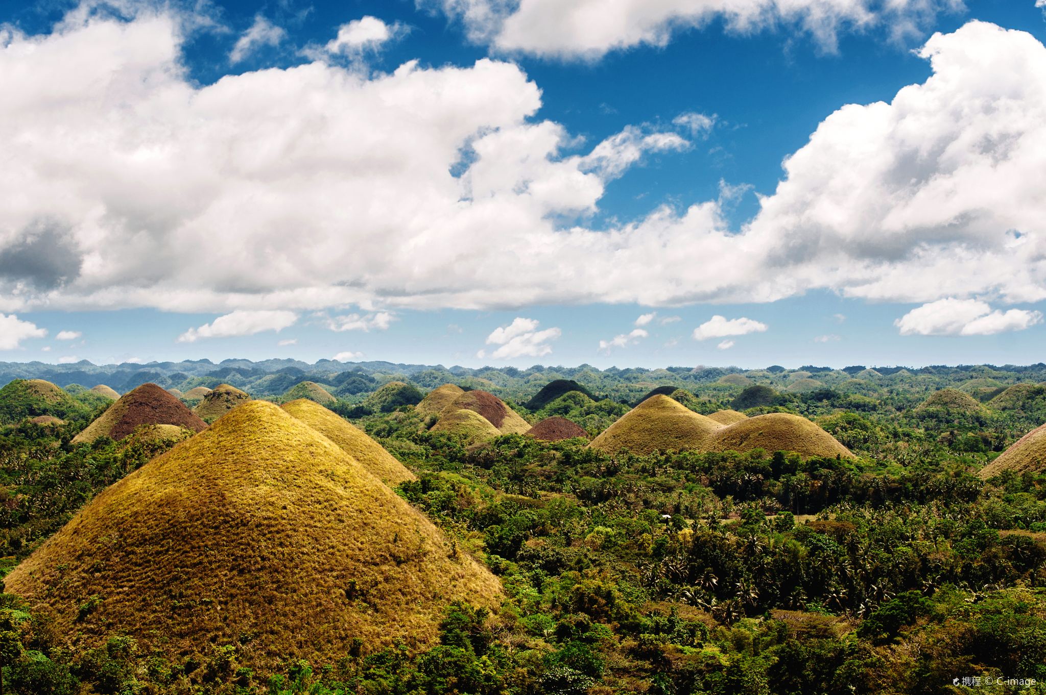 ทัวร์ชนบทโบโฮลแบบไปเช้าเย็นกลับ: เนินเขาช็อกโกแลต + แม่น้ำโลโบ + ทาร์เซียร์ + โบสถ์ + ป่าเทียม