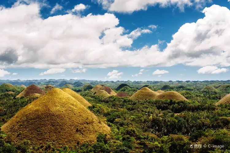 Hotel dekat Chocolate Hills