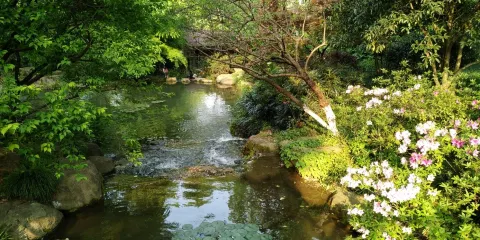 蕭家花園