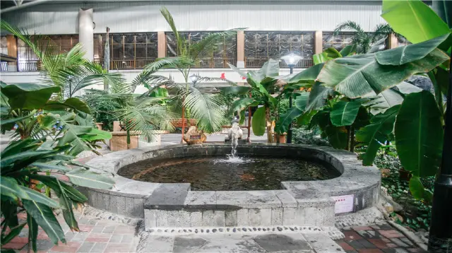 Harbin Hot Springs
