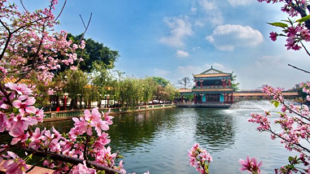 Lawatan sehari ke Taman Impresionis Lingnan Guangzhou + Taman Baomo [Permata taman Lingnan & lukisan ikan koi dan buah lychee]