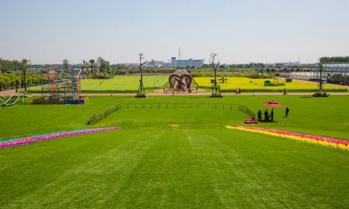 Grass Skiing in Zhongshan