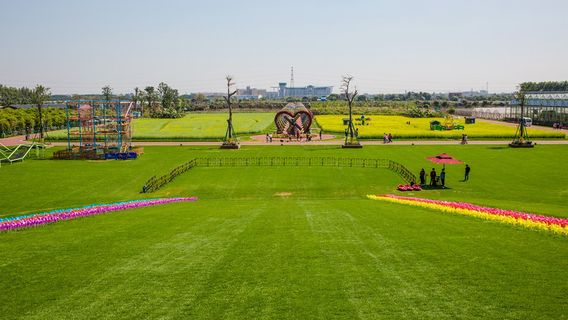 Grass Skiing in Zhongshan