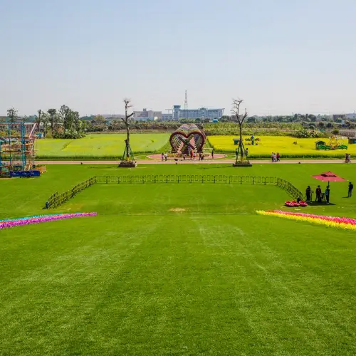 Grass Skiing in Zhongshan