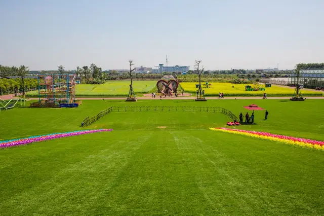 Grass Skiing in Zhongshan