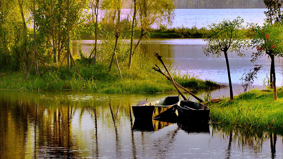 Qionghai National Wetland Park
