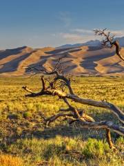 Parque Nacional y Reserva Grandes Dunas de Arena