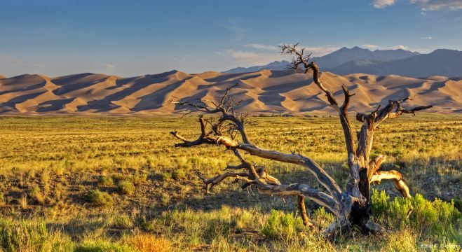 Parque Nacional y Reserva Grandes Dunas de Arena