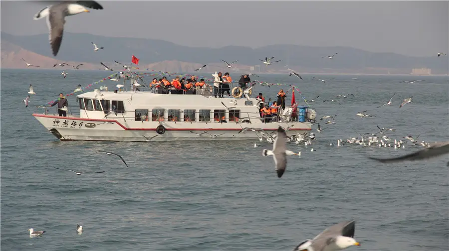 大連神龍仙島海上主題公園