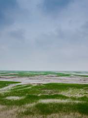 Hangzhou Bay National Wetland Park