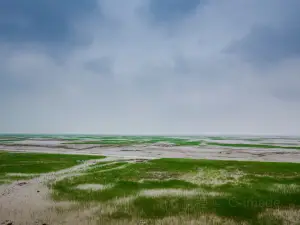 Национальный водно-болотный парк в заливе Чжоу