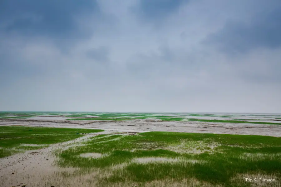 Hangzhou Bay National Wetland Park